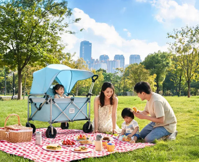 Stroller wagon at a city park